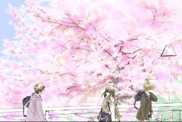 红杏四叶草视频